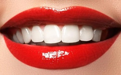 宝贝你的小花园真甜小说